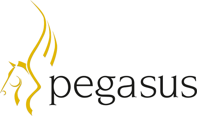 pegasus logo 4
