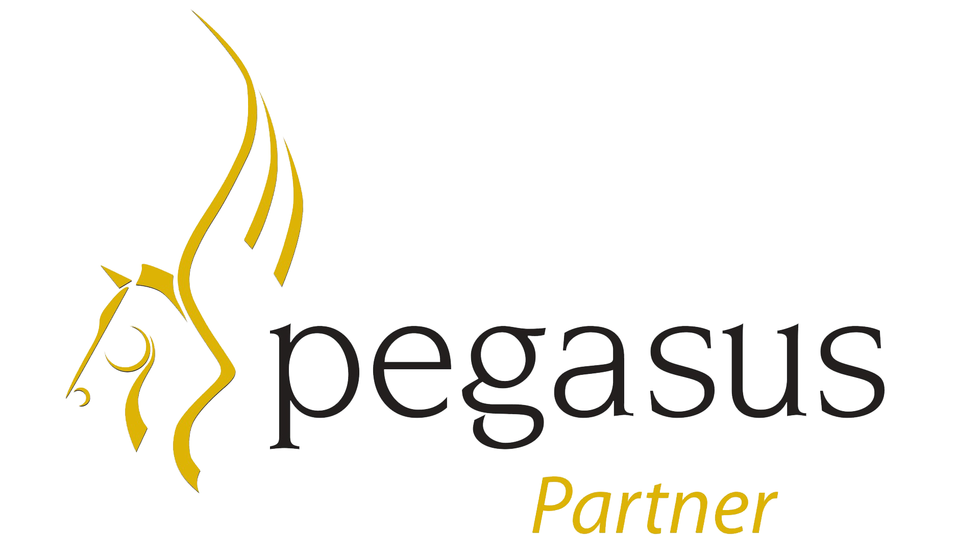 Pegasus Partner